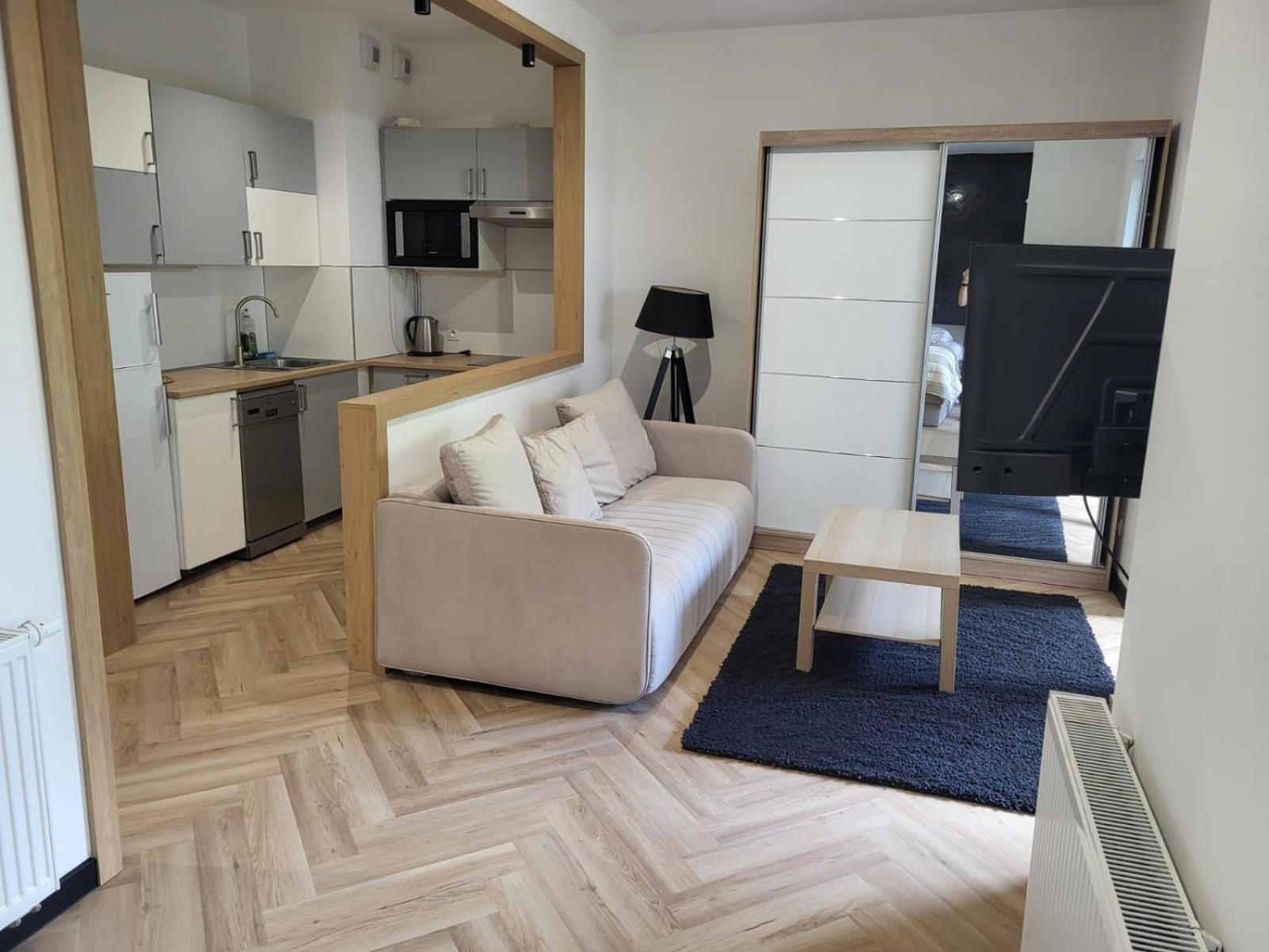 Apartamenty Gasiorowskich 4 بوزنان المظهر الخارجي الصورة